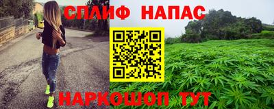 прущие грибы Ставрополь